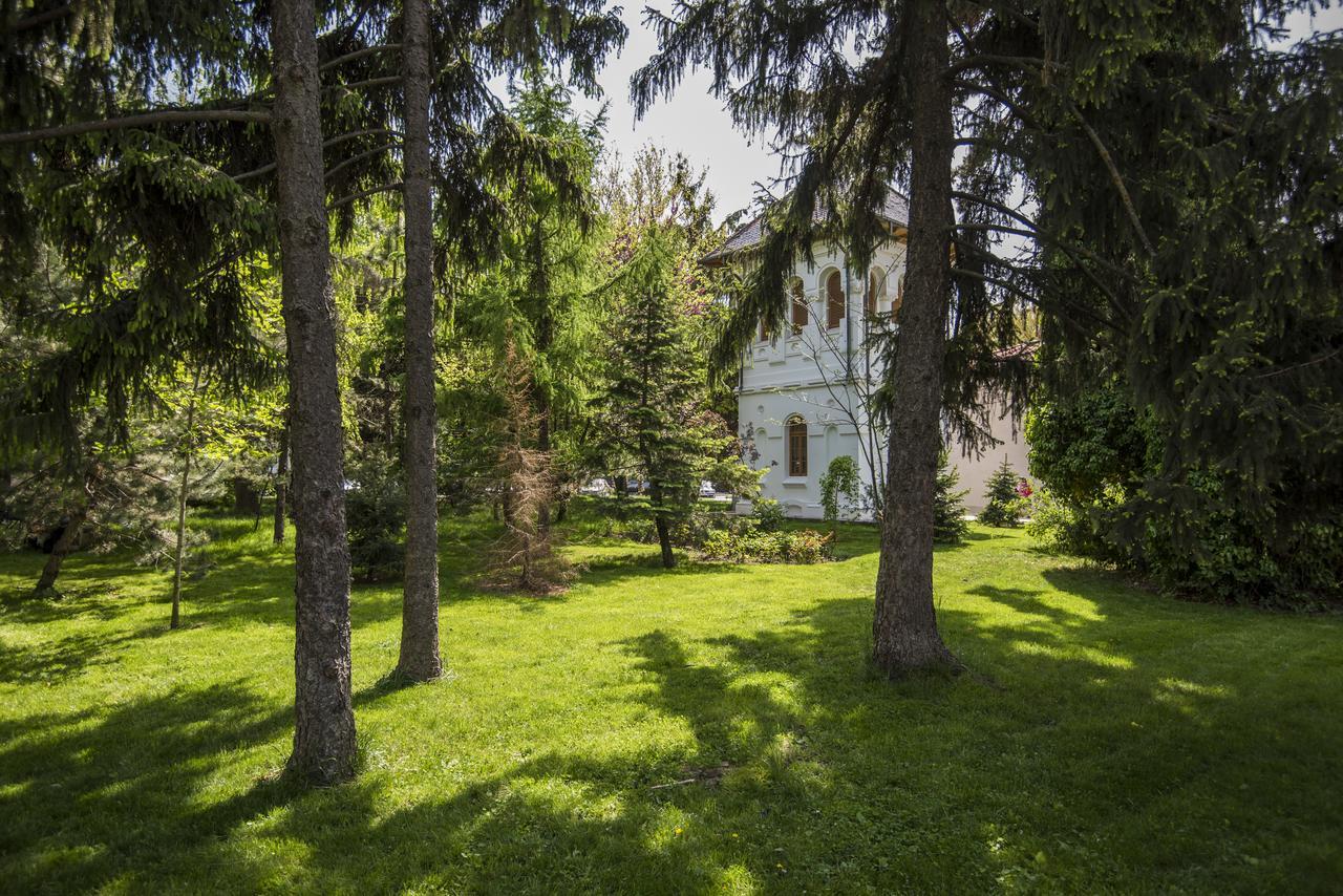 Hotel Belvedere Brăila Extérieur photo